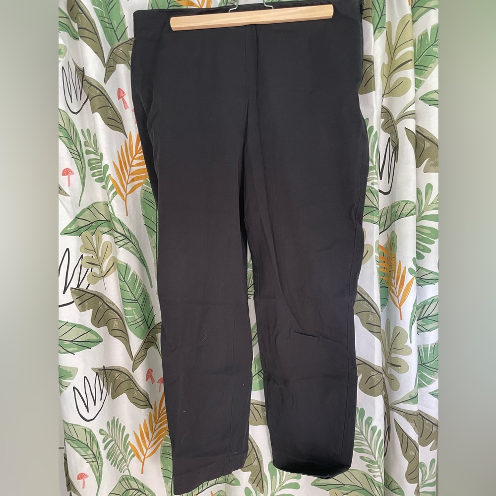 Everlane women’s black work pant straight leg stretchy size 16